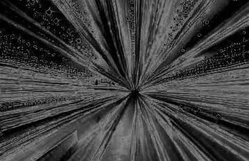The Empty Audit: When Missing Data Becomes the Loudest Signal in the Market