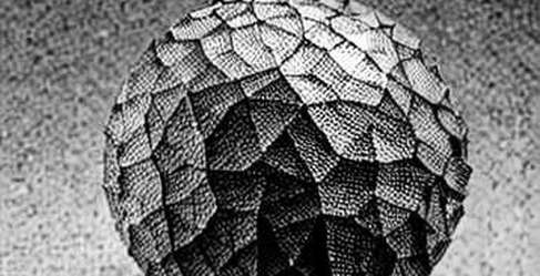 The 53.5% Threshold: Fifth Fleet Blast and the Polymarket Signal That Could Break Bitcoin's Bear Stasis The 53.5% Threshold: Fifth Fleet Blast and the Polymarket Signal That Could Break Bitcoin's Bear Stasis